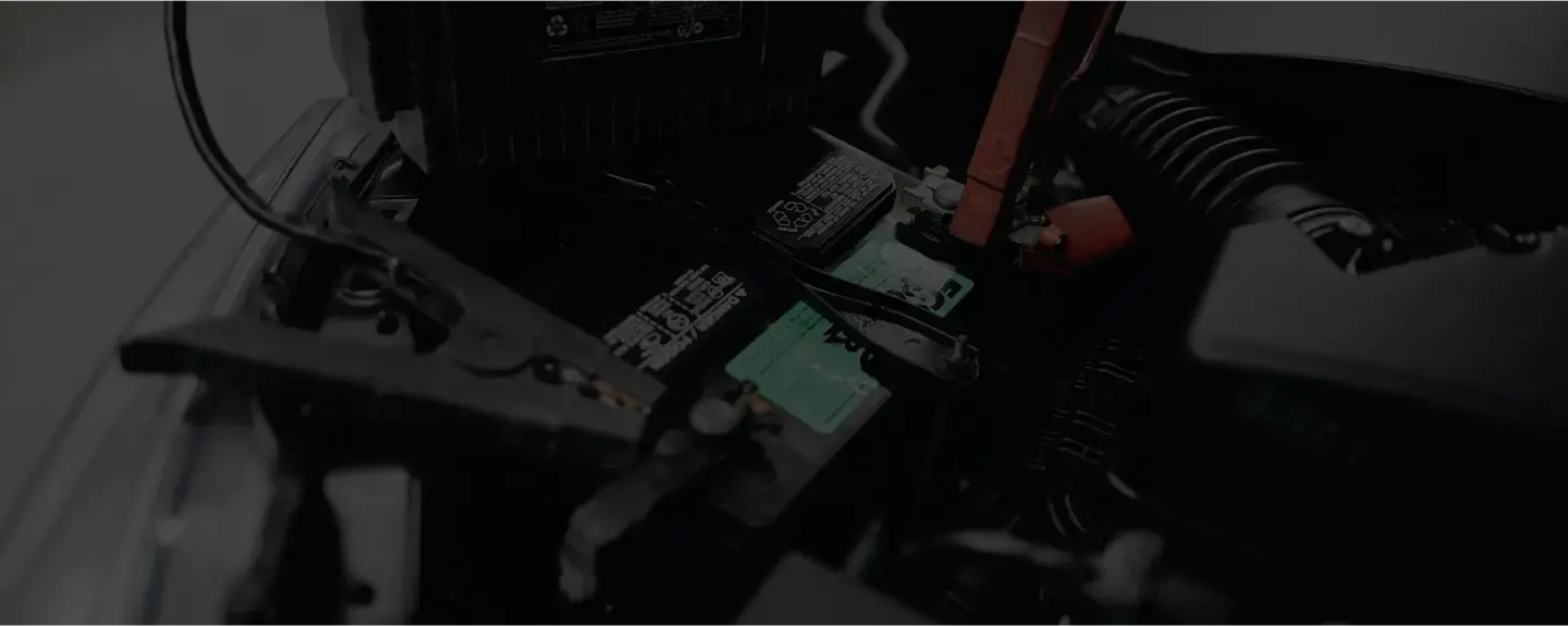 battery bg