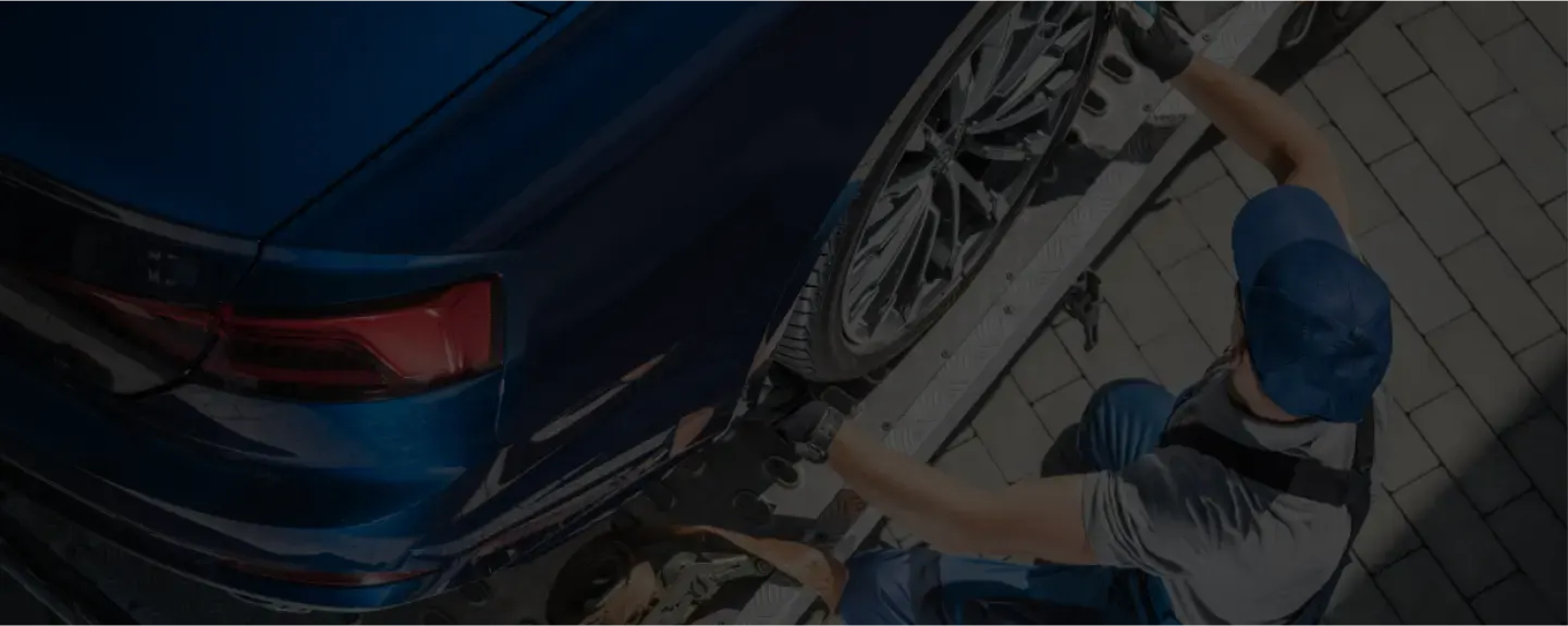 transport specialty